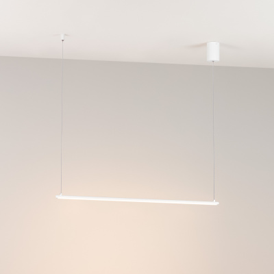 73a9d09f181e984f4fa503b498898bfc